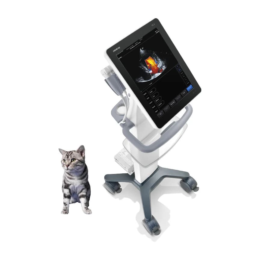 TE5 Vet touch screen ultrasound system on a trolley with a cat