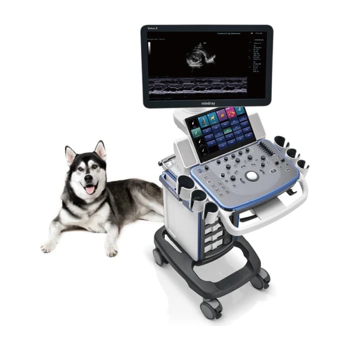 Vetus 5 cart-based veterinary ultrasound system with a husky