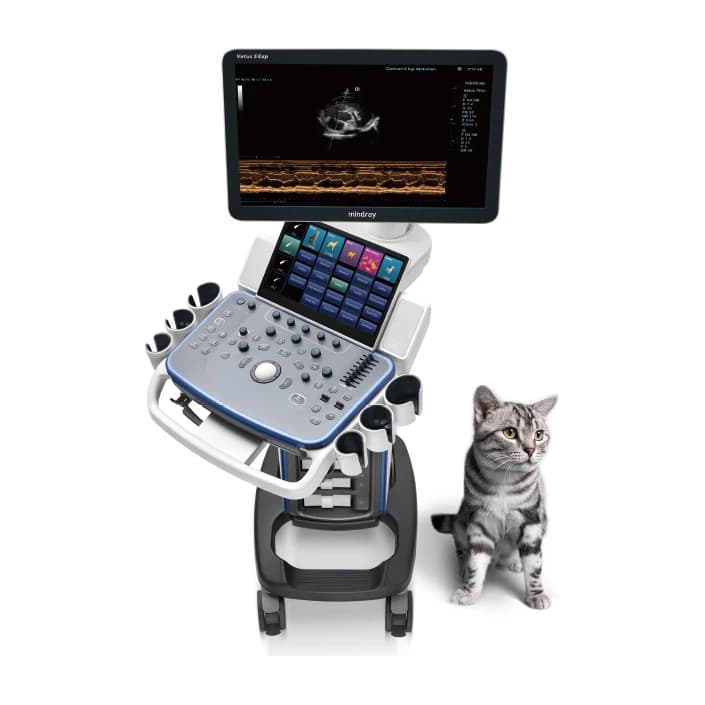 Vetus 5Exp cart-based veterinary ultrasound system with a cat