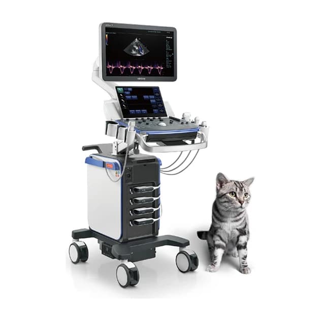 Vetus 7 cart-based veterinary ultrasound system with a cat