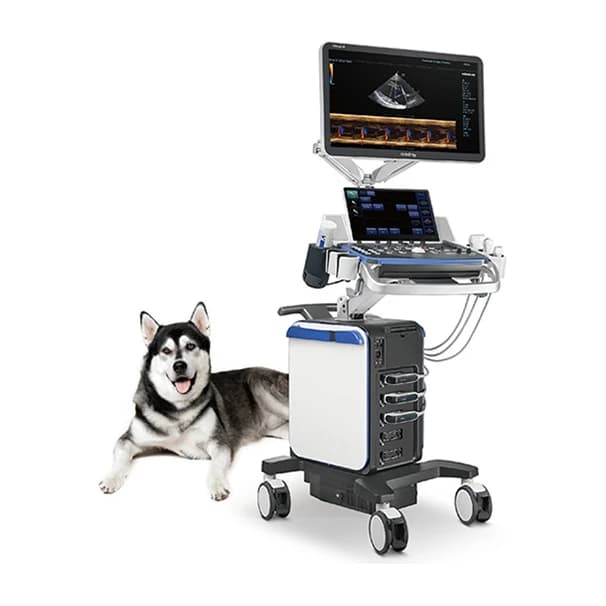 Vetus 8 cart-based veterinary ultrasound system with a husky