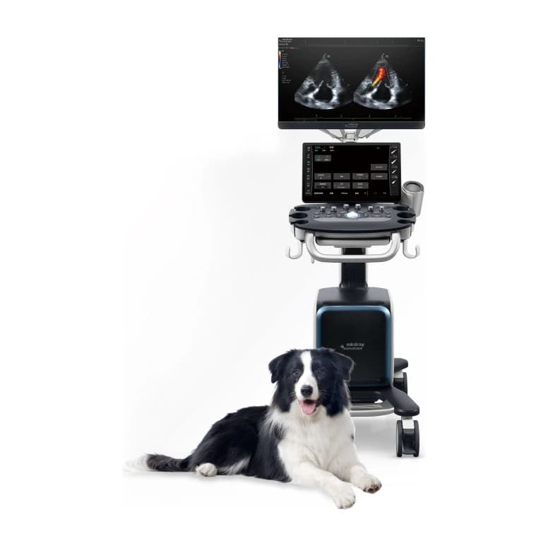 Vetus 80 veterinary ultrasound system with a dog lying beside it